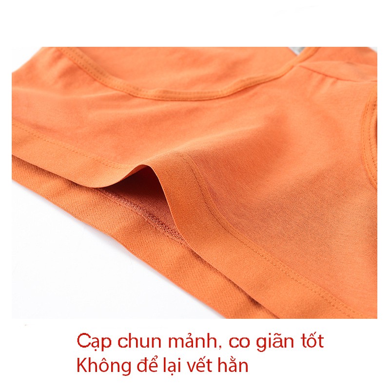 Quần lót nữ kháng khuẩn Lylylorem A06 | BigBuy360 - bigbuy360.vn