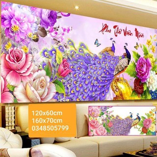 Tranh trang guong chim cong 120x60 hàng sẵn