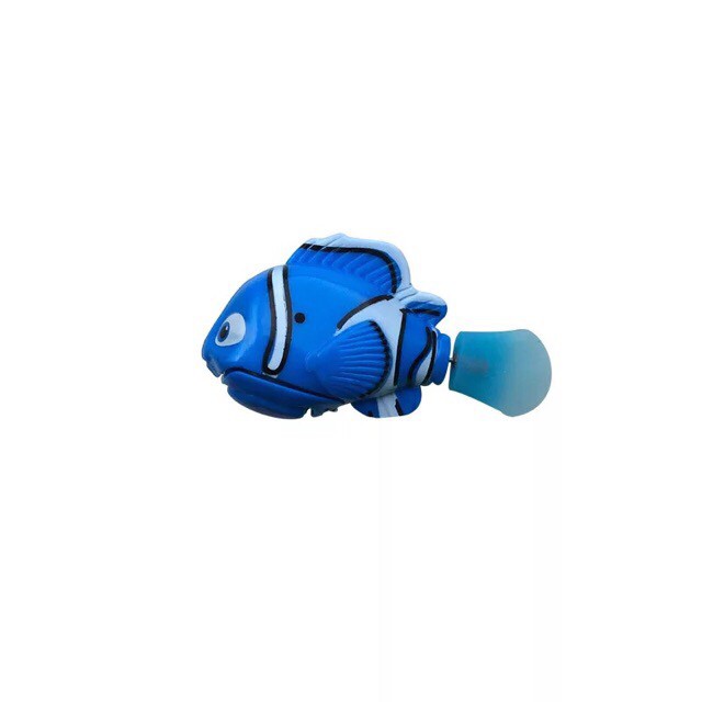 Cá cảnh ROBO, RẺ VÔ ĐỊCH