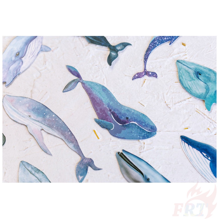 ❉ Dấu Trang Cá Voi Xanh ❉ Set 30 Thẻ Đánh Dấu Sách Thời Trang