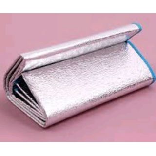Chiếu ngủ trưa văn phòng 60x180cm