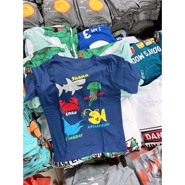 Áo thun bé trai xuất xịn 6M - 8 year ib chọn màu