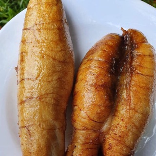 Combo làm đơn kiệu khách hoà vang