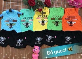 Combo của khách 25 bộ theo ri