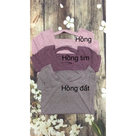 Áo phông american xuất dư