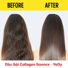 Bộ Dầu Gội Cặp Colagen Essence Yody Phục Hồi Hư Tổn Và Kích Thích Mọc Tóc 800MLx2