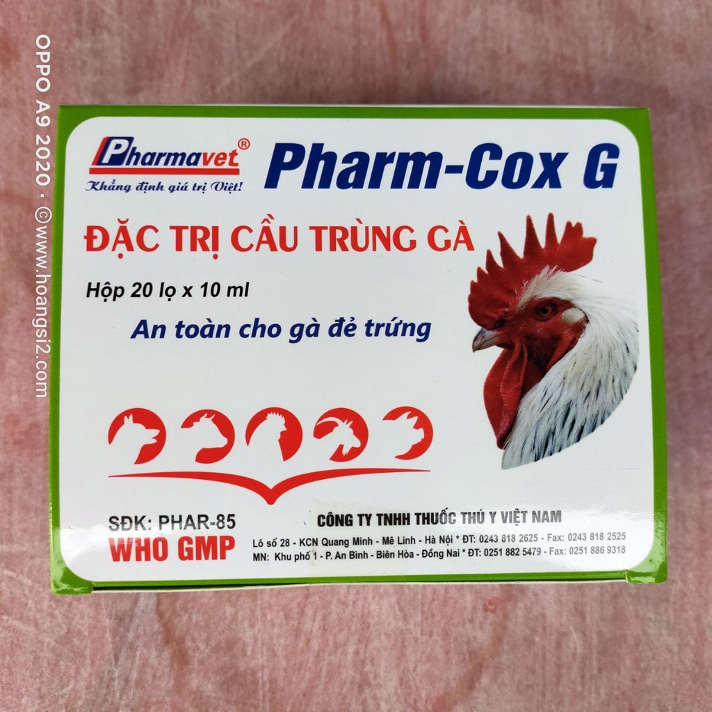 Sản phẩm hỗ trợ gia cầm, gia súc khi bị cầu trùng Pharm-Cox G chai 10ml