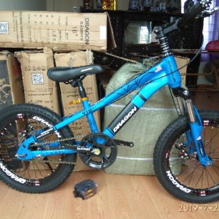Xe đạp trẻ em Dragon 20 inch