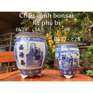 Lộc bình trồng cây- Chậu trồng cây bonsai - chậu trồng sen đá - chậu cảnh bonsai