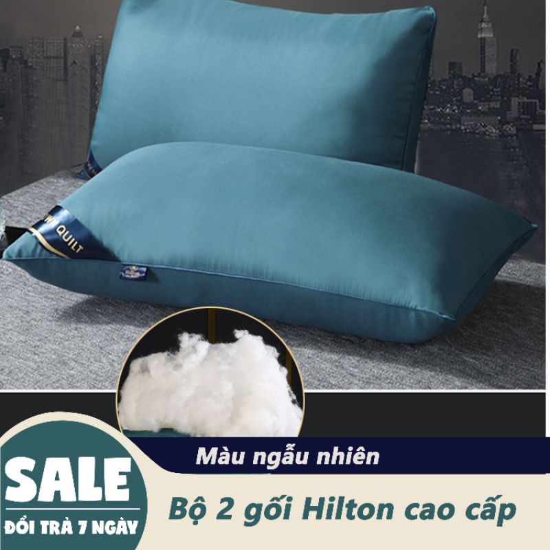 Ruột gối đầu cao cấp Pillow Hilton Ép Hơi, Có Khoá Kéo - Nhiều Màu Tiêu Chuẩn 5* - Kích Thước 45x65cm