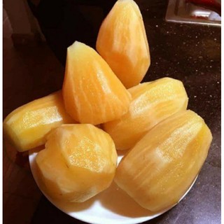 Combo 10kg Sâm đất Sapa Lào Cai