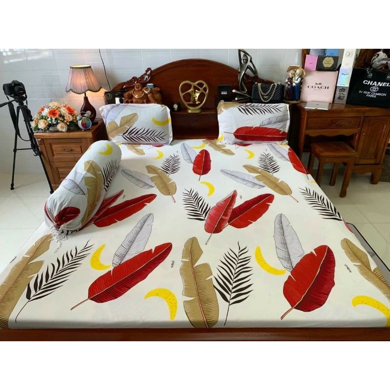 bộ ga thun hàn quốc ( 6 màu)