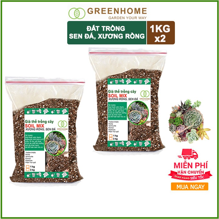 [Freeship 70K] Bộ 2 túi 1kg Đất trồng sen đá, xương rồng trộn sẵn đẩy đủ dinh dưỡng, thoát nước cực tốt Soil Mix