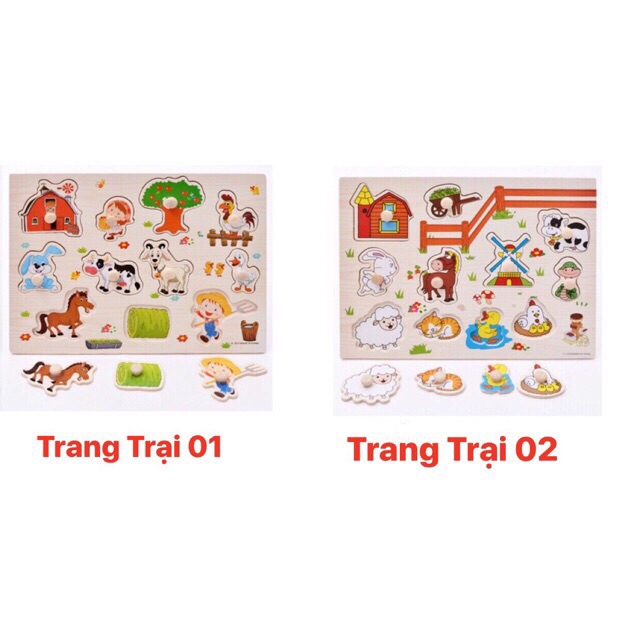 Bảng ghép có núm các chủ đề 20*30cm