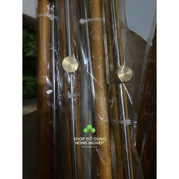 NẮP BÉC,NHƯNG BÉC SI VÀNG