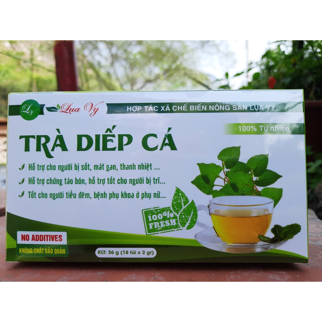 Trà Diếp Cá Lụa Vy dạng túi lọc