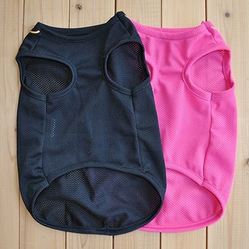 Áo Thun Mùa Hè Mát Mẻ Thời Trang Cho Thú Cưng