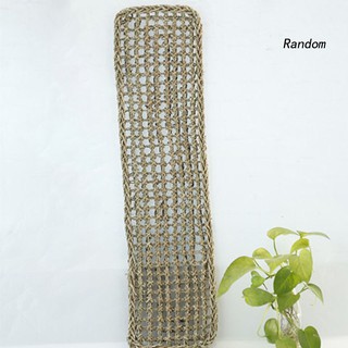 Võng Nằm Cho Thú Cưng Bò Sát