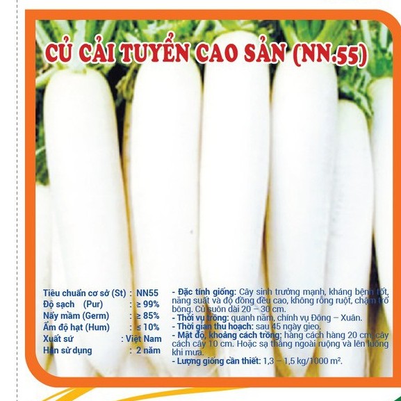 500gr Hạt giống Củ Cải Trắng dài cao sản_Củ cải tuyển NN.55