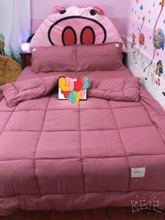 Bộ Drap & Chăn Phao Cotton Tici 5 Món Phối Màu