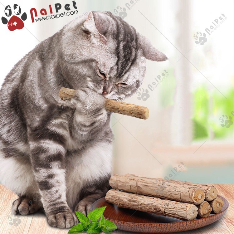 Que Gỗ Catnip Bạc Hà Gặm Sạch Răng Cho Mèo CCN010