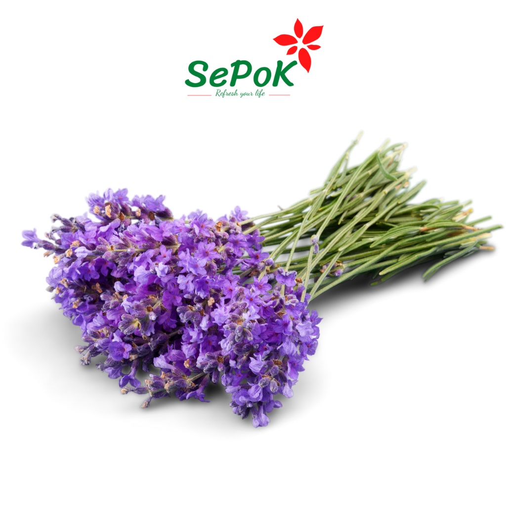 Hoa Lavender/Hoa Oải Hương Sấy Khô SePok-100g/50g