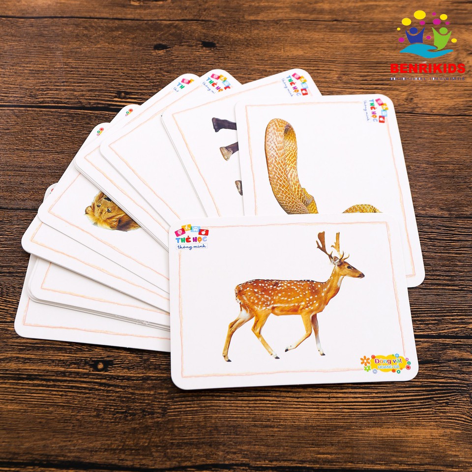 Bộ Thẻ Học Flashcard Song Ngữ Anh-Việt Chủ Đề Quốc Kỳ Các Nước