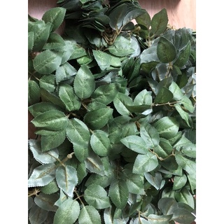 20 lá hoa hồng có vân