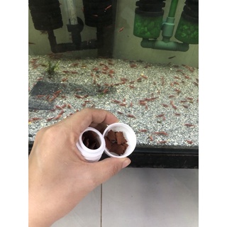 Thức ăn Tép Red Food