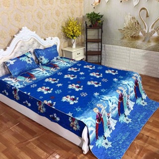Sét chăn ga gối trần bông