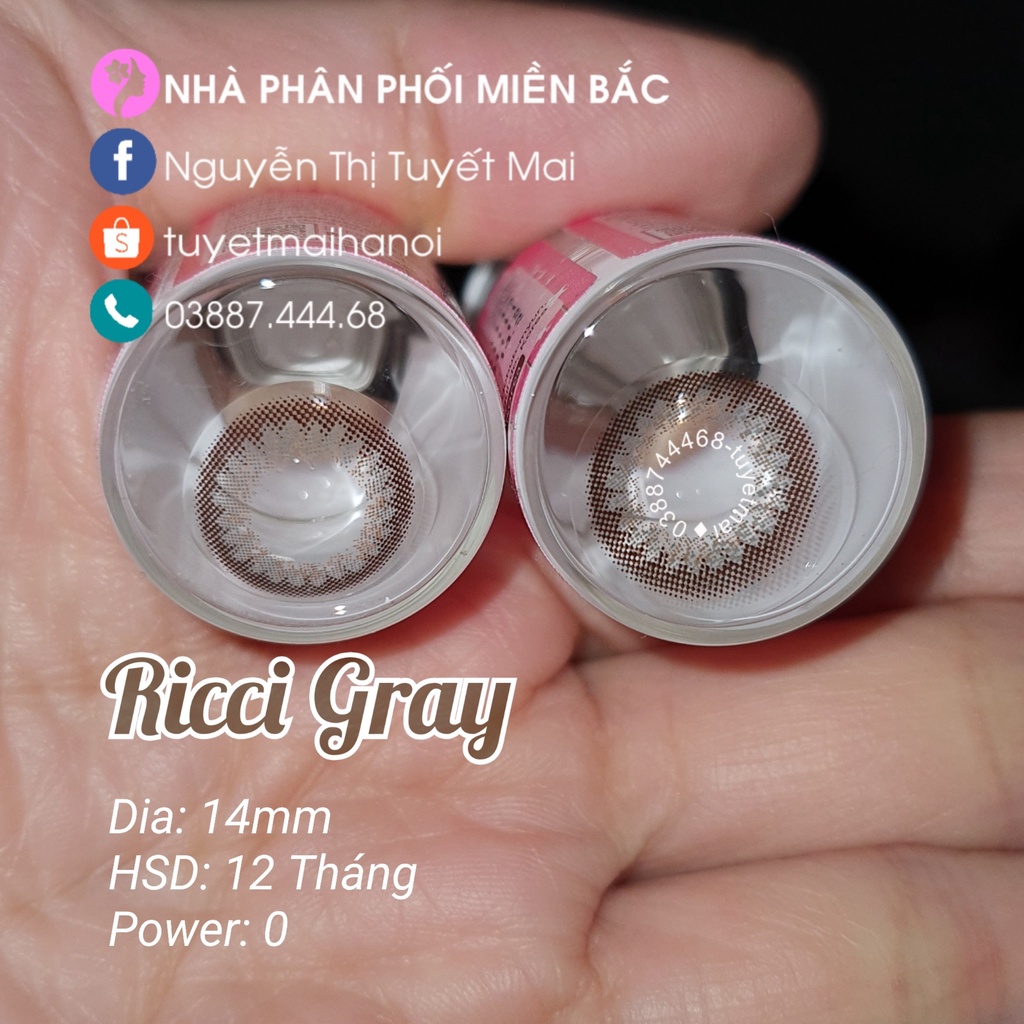 Kính Áp Tròng Màu Xám Tự Nhiên Ricci Gray 14mm 0 Độ - Lens Hàn Quốc Chính Hãng Vassen Sexy Me