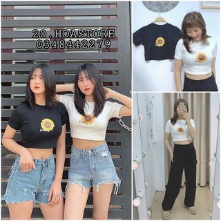 ÁO CROPTOP BODY NỮ - CROPTOP PARA NOISE HOA CÚC ULZZANG