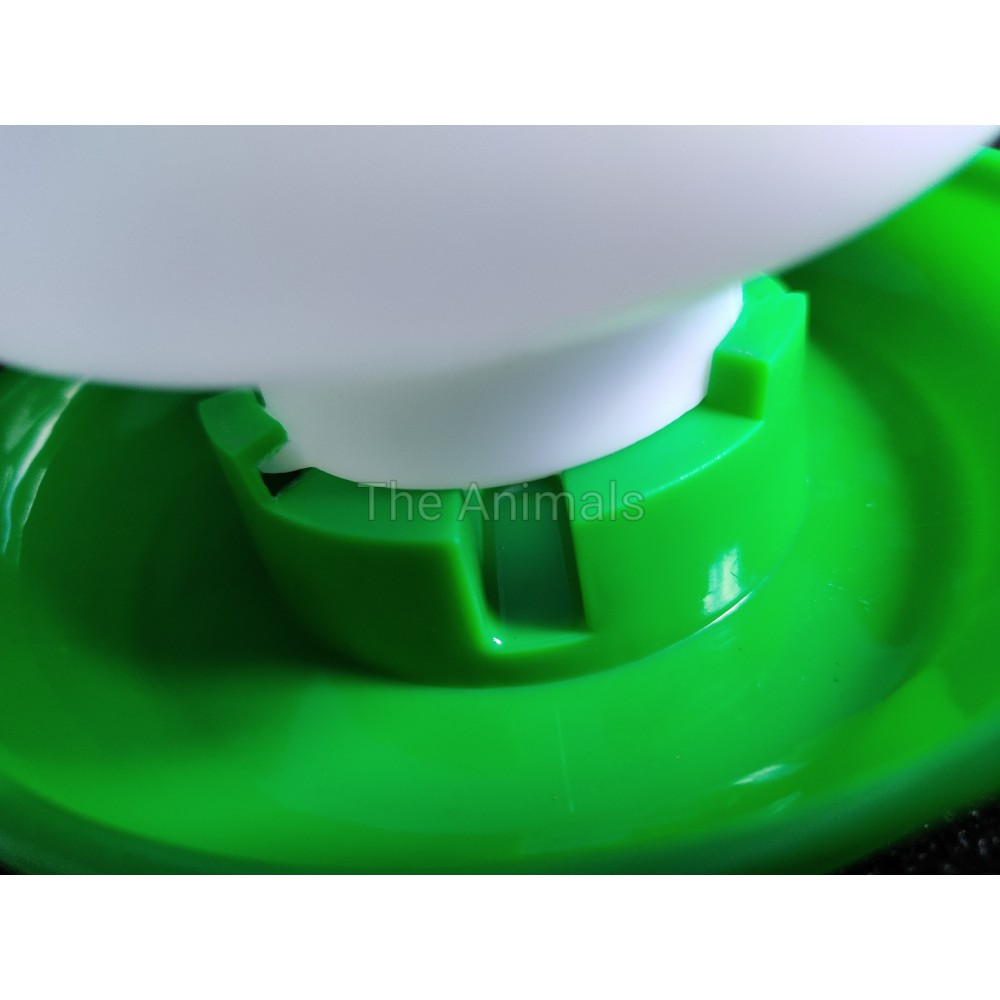 Bình cấp nước tự động cho chim, gà, vịt, chim cút