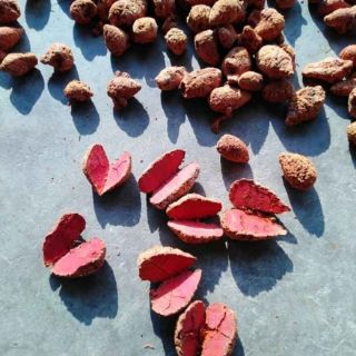 Nghệ Đỏ Gà Đá Cao Cấp 500g