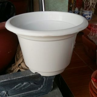Chậu nhựa trắng trơn phi 24cm cao 16cm