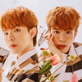 Thuốc Nhuộm Tóc Nam Màu Vàng Đồng Copper Blonde 8.43