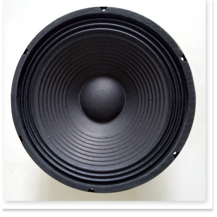 Loa bass 30