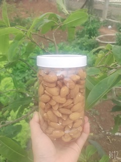 Hạnh nhân sấy - không tẩm vị (hộp 500gr)