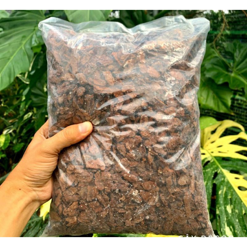 1Kg Vỏ Thông  Trồng Lan &Kiểng Lá