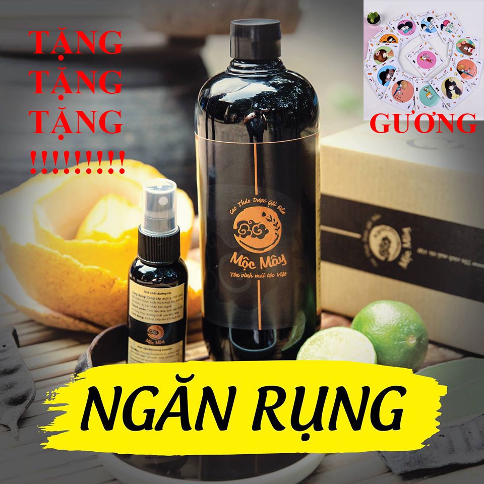 Thảo Dược Gội Đầu ☘FREESHIP☘ Dầu Gội Đầu Thảo Dược Đen Tóc DM02-B
