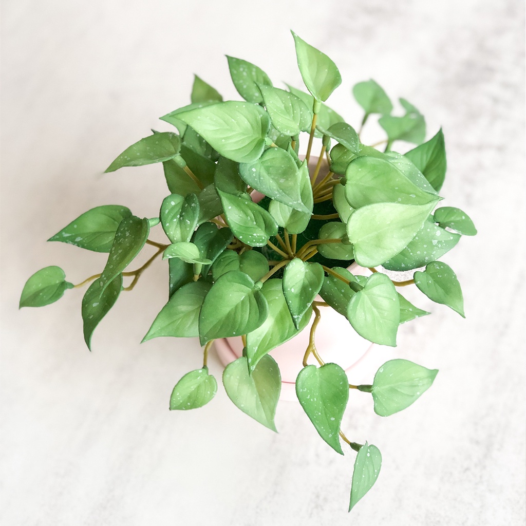 Chậu cây thủy canh nhân tạo trang trí bàn làm việc / tiệc / nội thất