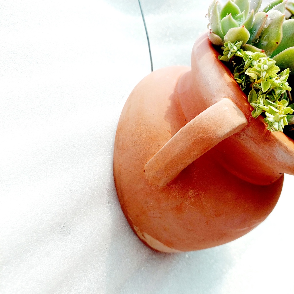 Chậu đất nung, Chậu sen đá - Ốp tường quai - miệng chậu 9cm, chiều cao 17cm