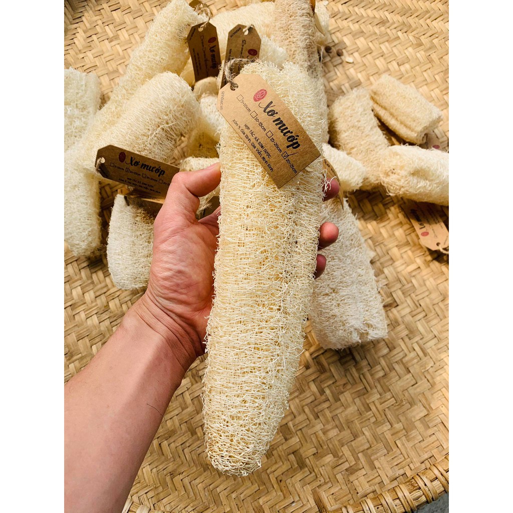 Xơ Mướp Khô Tự Nhiên, Để Tắm, Tẩy Da Chết, Rửa Bát| Nguyên trái hoặc cắt nhỏ tiện dụng