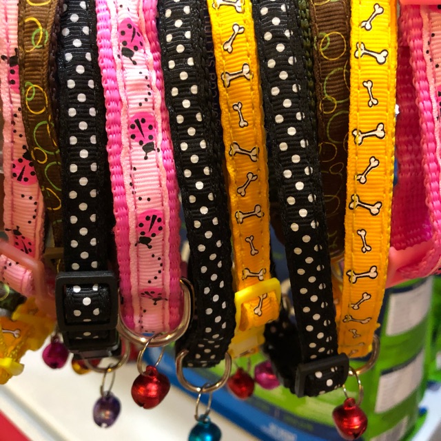 Vòng cổ xinh cho chó mèo