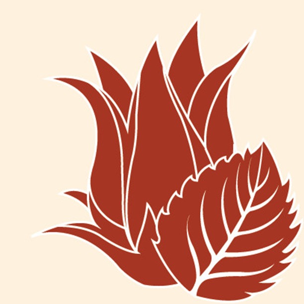 Thiên Mộc Thảo