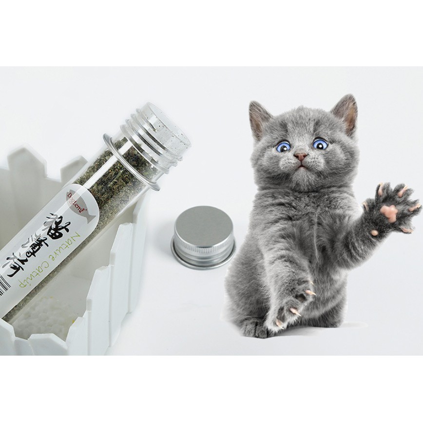 capnit ống cỏ bạc hà cho mèo