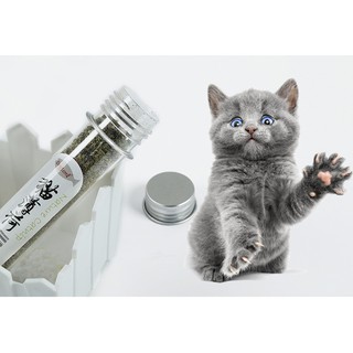 capnit ống cỏ bạc hà cho mèo