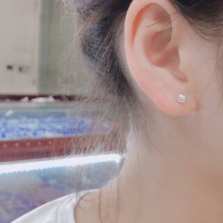 Bông tai nụ bạc ta-BM40