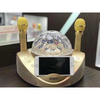 Loa hát karaoke bluetooth sprd sd-308