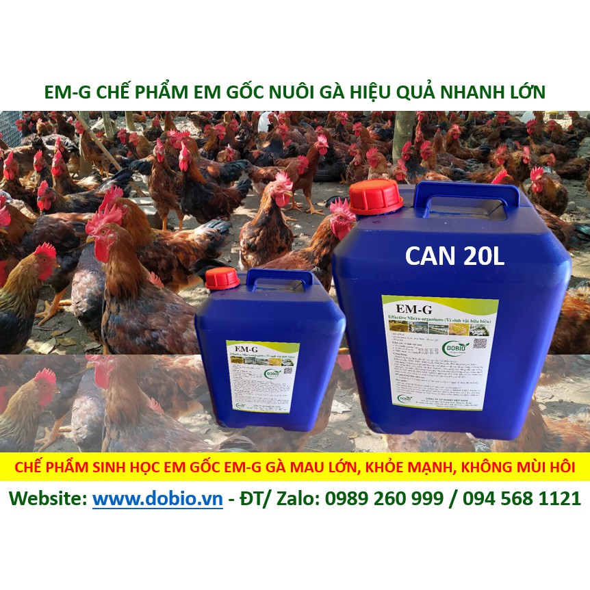 EM Gốc G Can 20 lít, Chế Phẩm Vi Sinh EM Gốc, EM1, Địa Chỉ Cung Cấp Mua Bán Chế Phẩm Vi Sinh EM Gốc